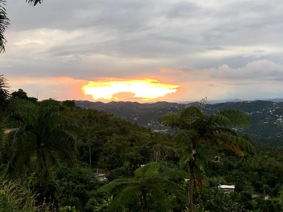 *** Guest house El Escondido Studios And Gardens Canovanas Puerto Rico
