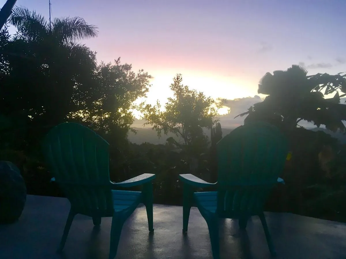 El Escondido Studios And Gardens Canovanas Guest house
